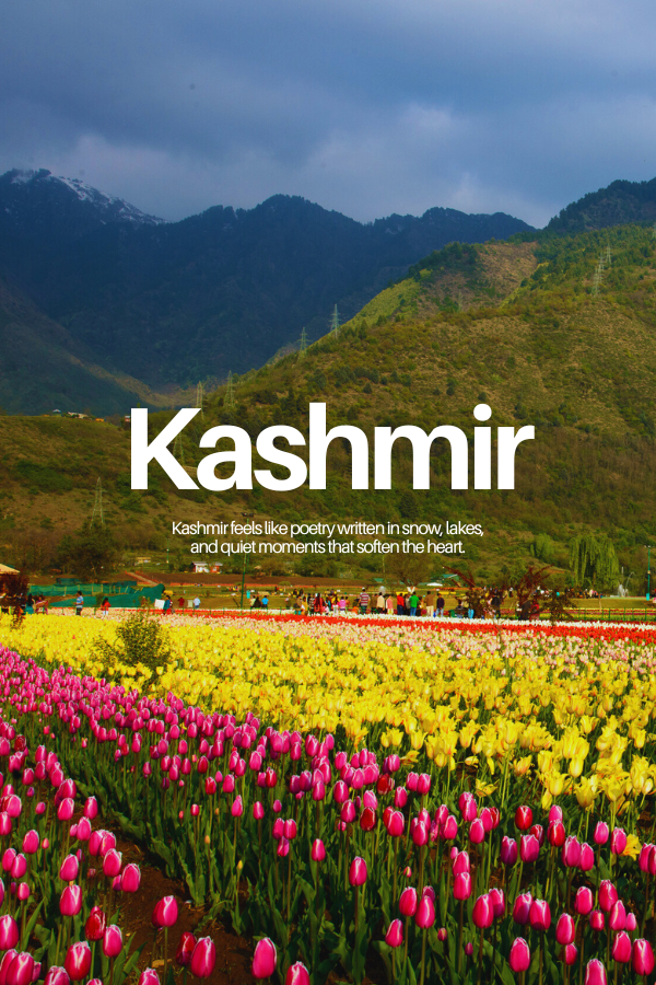 Kashmir